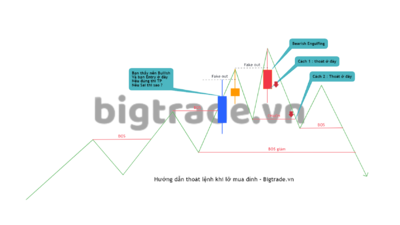 Cách giảm thiệt hại khi lỡ mua đỉnh đúng cách