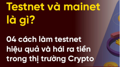 Mainnet là gì ? Testnest là gì ?