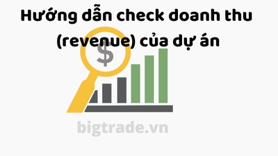 Bài 6 : Hướng dẫn check doanh thu (revenue) của dự án