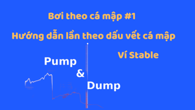 Bơi cùng cá mập #1 : Theo dấu stable whale