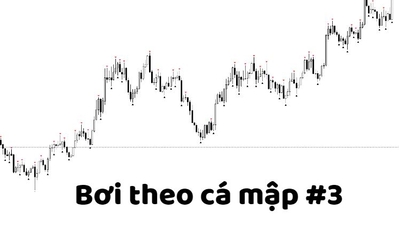Bơi cùng cá mập #3 : nhìn Netflow Exchange biết cá mập đang làm gì