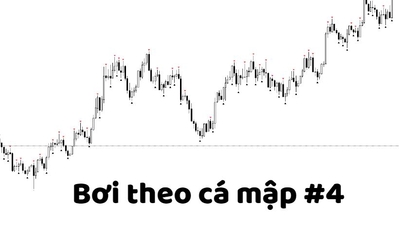 Bơi cùng cá mập #4 : Theo dõi các quỹ đầu tư từ cryptorank