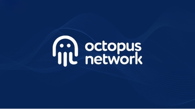 Octopus Network sa thải 40% nhân sự nòng cốt