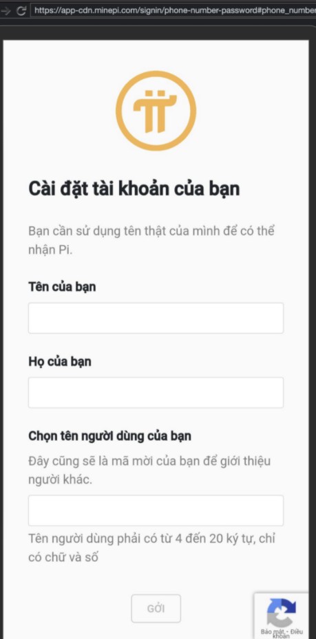 App Pi thực chất chỉ là dạng webview